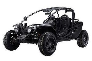 PGO 600CC BUGGY