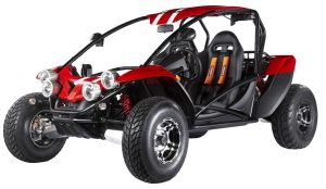 PGO 600cc Bug racer