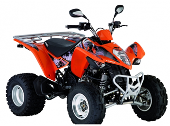 Quad bikes  Protrus Moto