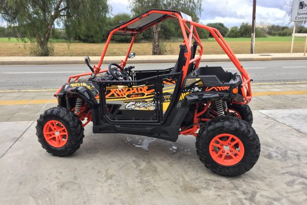 pgo buggy for sale uk